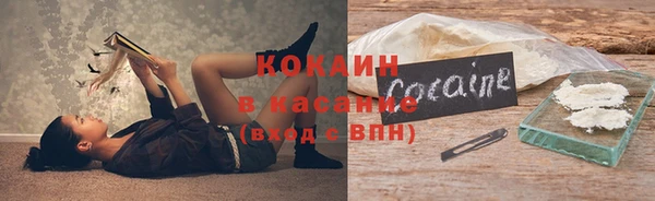 дживик Богданович
