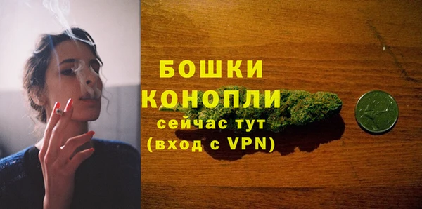 дживик Богданович